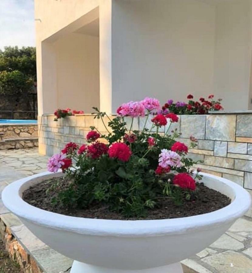 مدينة سكياثوس Villa Spartias المظهر الخارجي الصورة